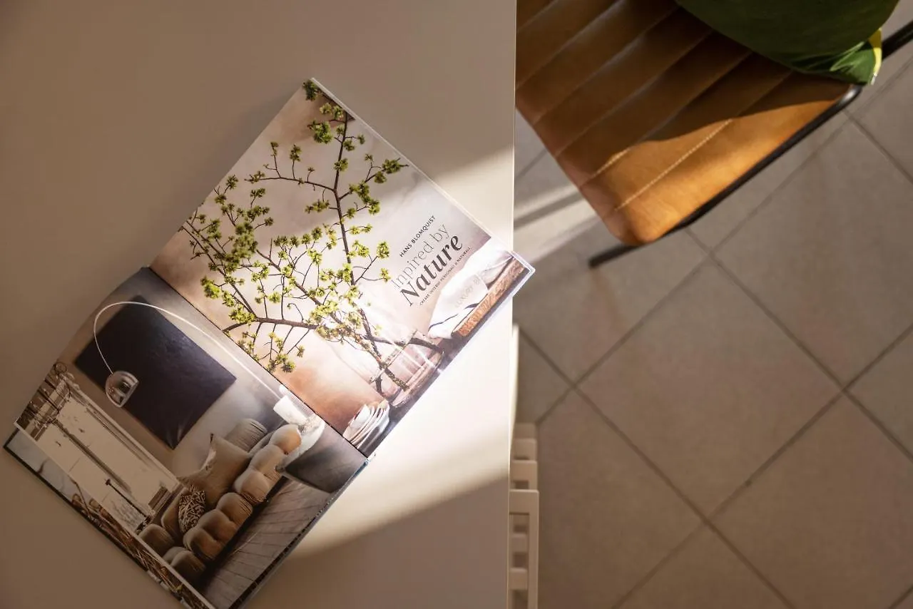 Hotel Balaton Riccione Italia